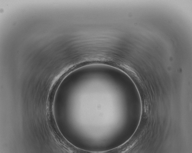 X0000073720388200608101909