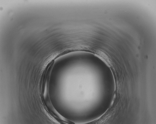 X0000073720389200608101909