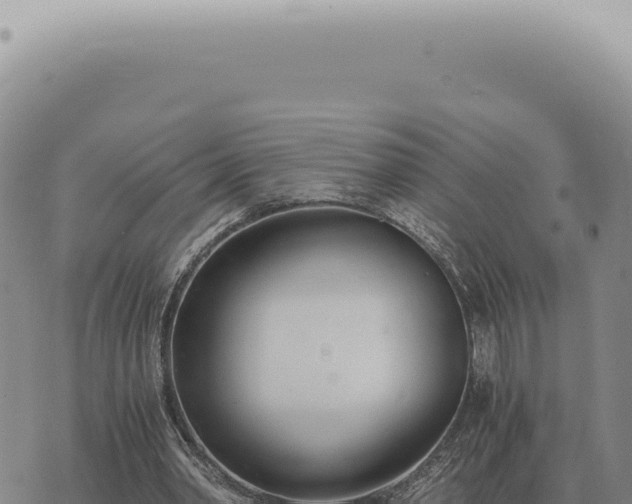 X0000073720390200608101909