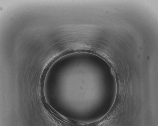 X0000073720391200608101909