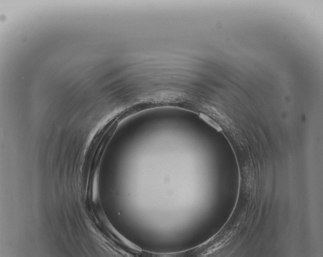 X0000073720392200608101909