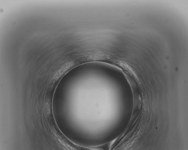 X0000073720393200608101909