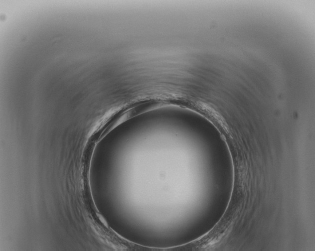 X0000073720395200608101909