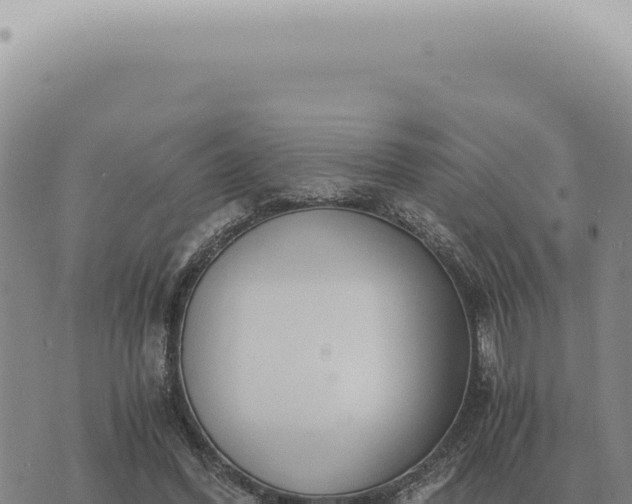 X0000073720396200608101909