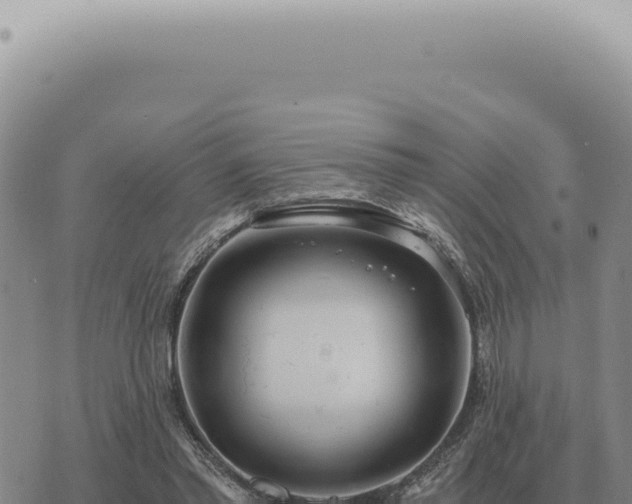 X0000073720397200608101909