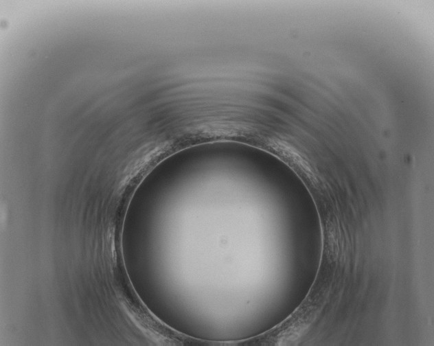 X0000073720398200608101909