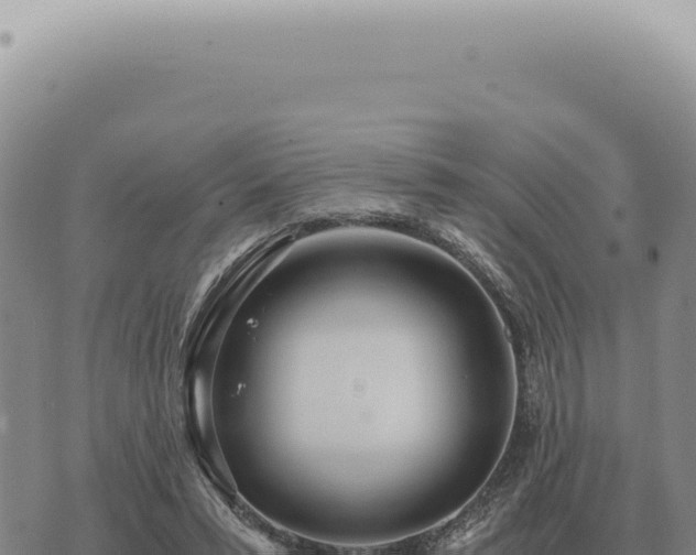 X0000073720399200608101909