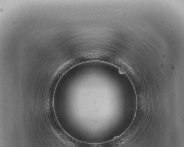 X0000073720400200608101909