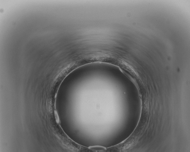 X0000073720403200608101909