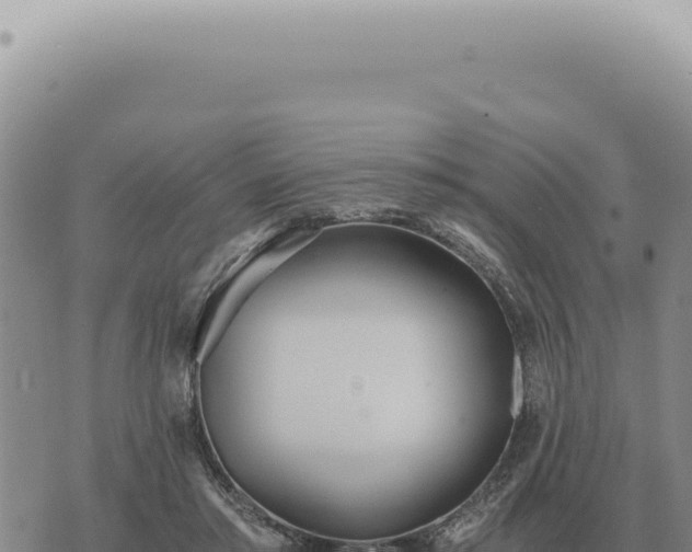 X0000073720405200608101909