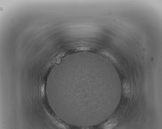 X0000073720406200608101909