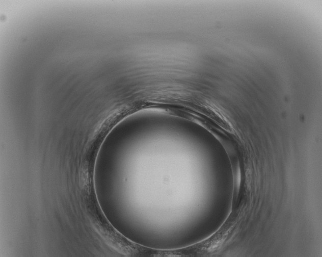 X0000073720407200608101909