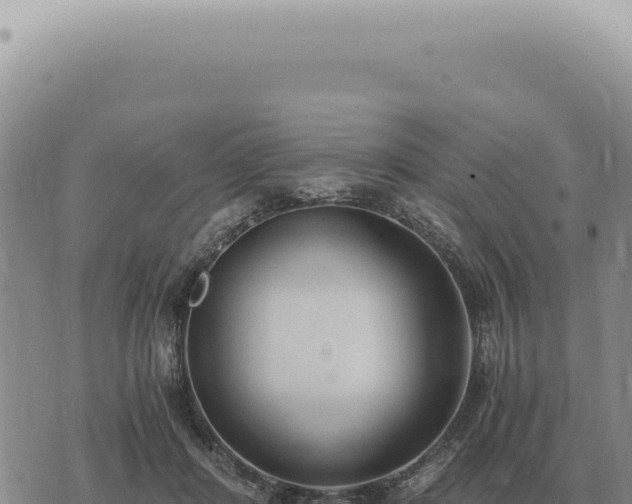 X0000073720408200608101909