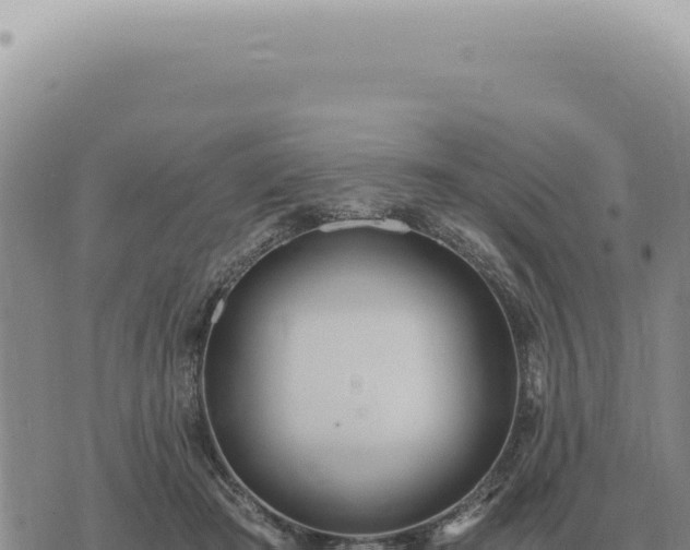 X0000073720409200608101909