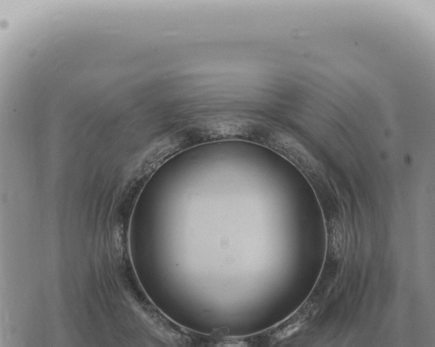 X0000073720410200608101909