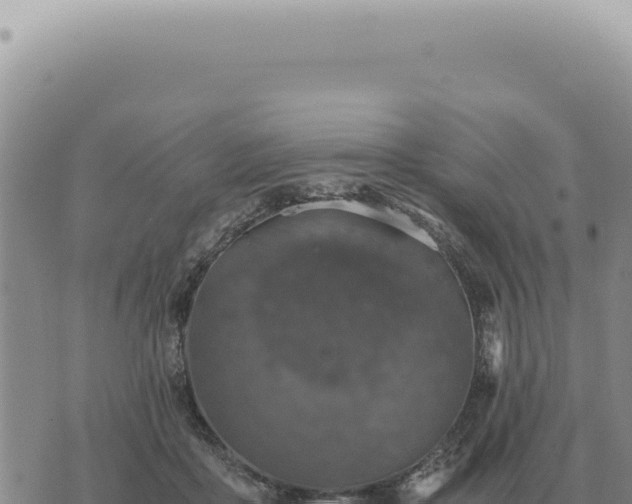 X0000073720411200608101909