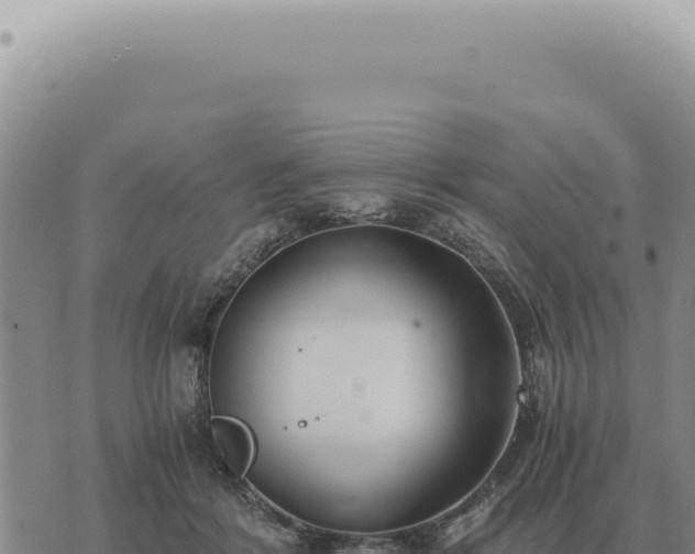 X0000073720412200608101909