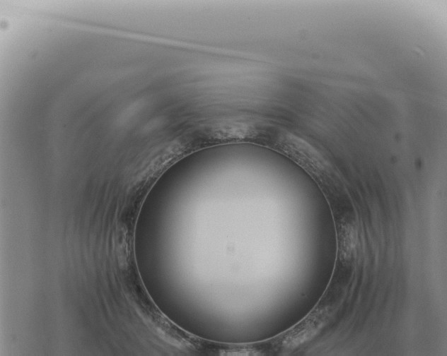 X0000073720414200608101909