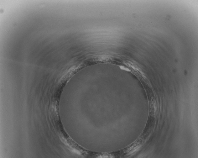 X0000073720415200608101909