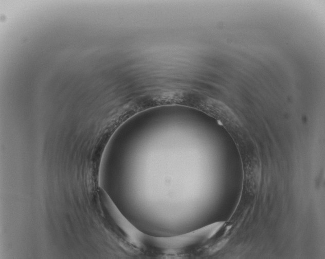 X0000073720416200608101909