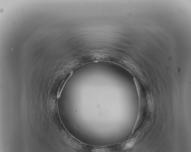 X0000073720417200608101909