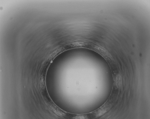 X0000073720418200608101909