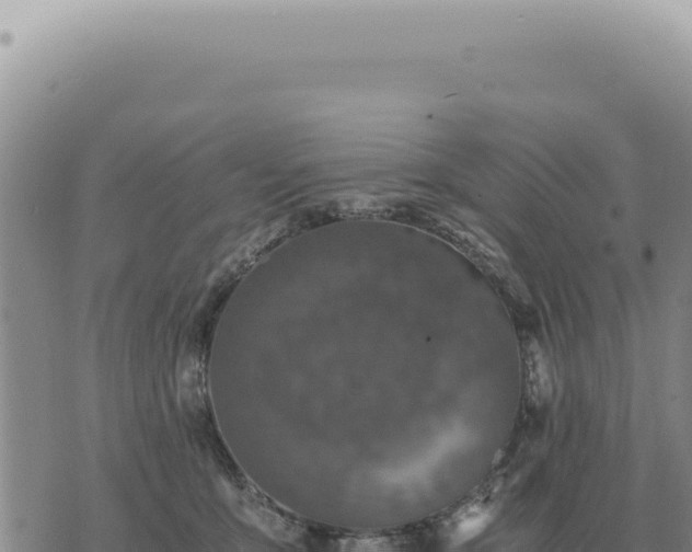 X0000073720419200608101909