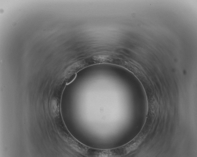 X0000073720420200608101909