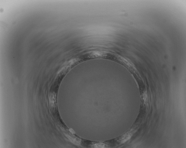 X0000073720423200608101909