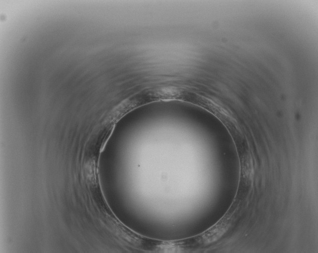 X0000073720425200608101909