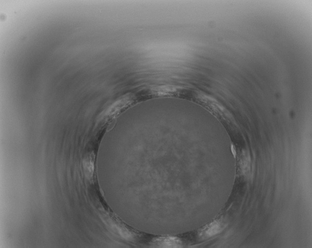 X0000073720427200608101908