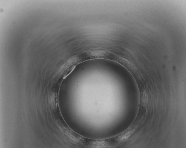 X0000073720428200608101908