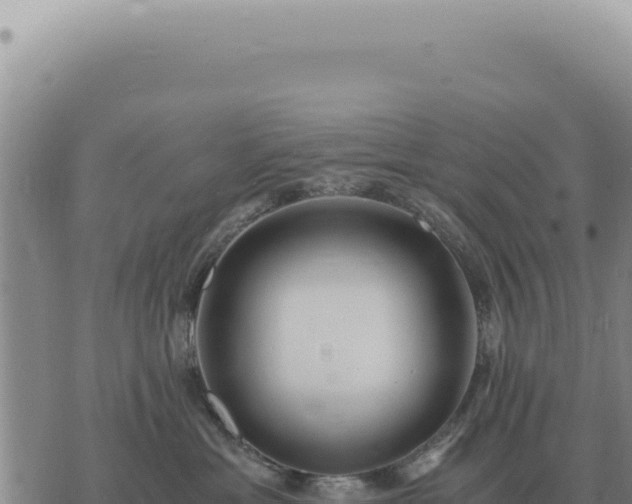 X0000073720429200608101908