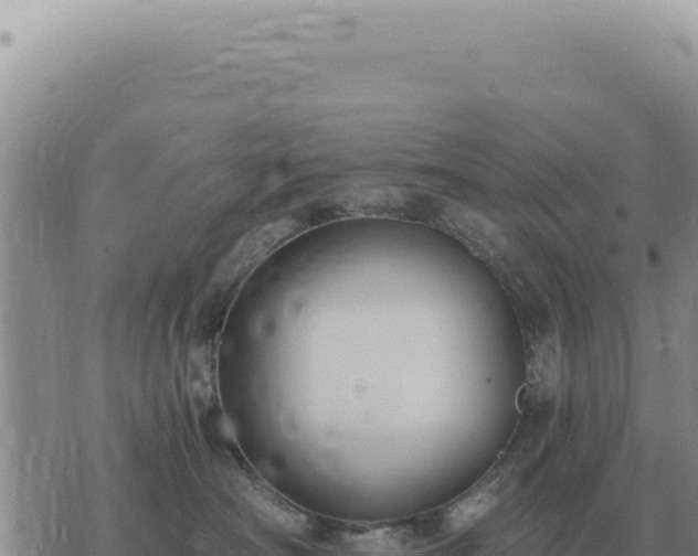 X0000073720430200608101908