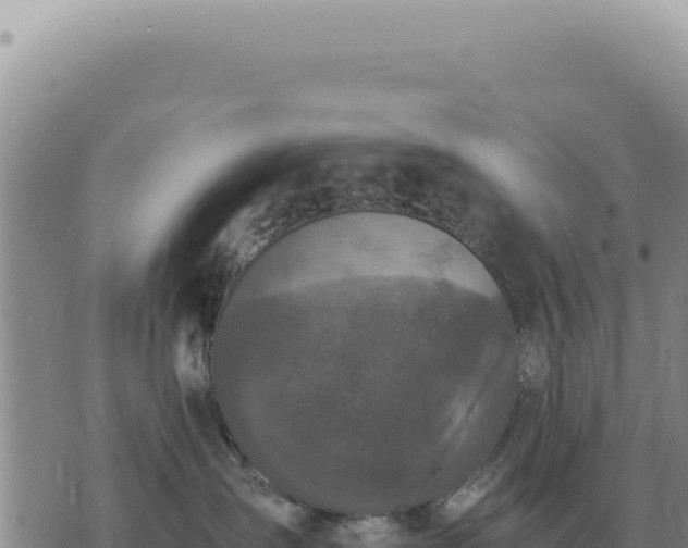 X0000073720431200608101908