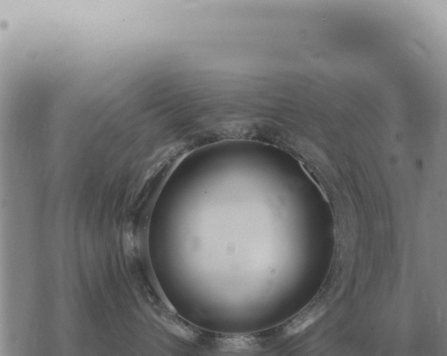 X0000073720432200608101908