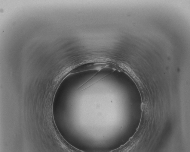 X0000073720433200608101908