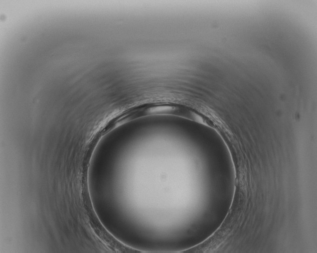 X0000073720434200608101908