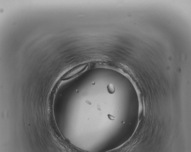 X0000073720435200608101908