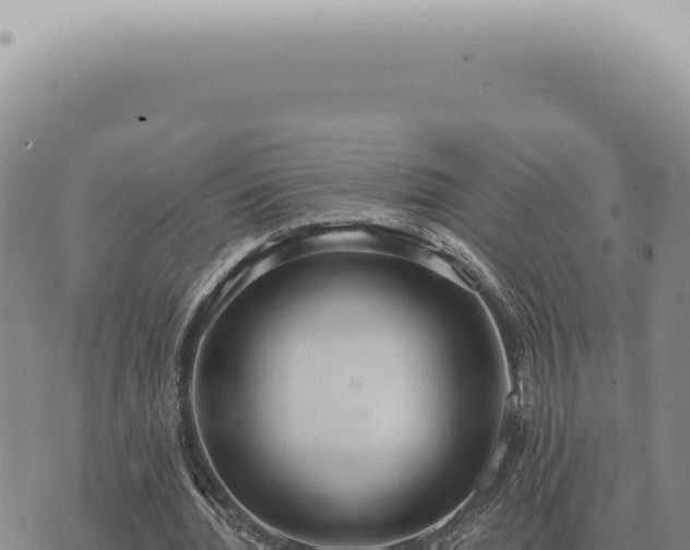 X0000073720436200608101908