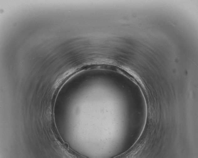 X0000073720437200608101908