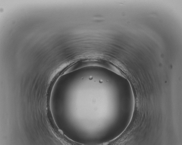 X0000073720438200608101908