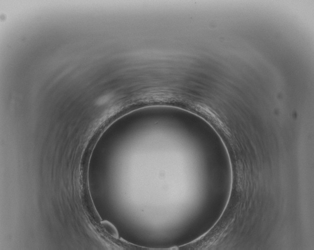 X0000073720439200608101908