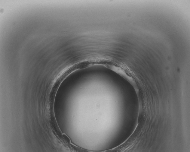 X0000073720440200608101908