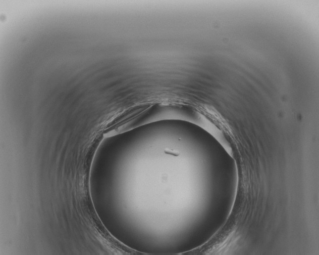 X0000073720441200608101908