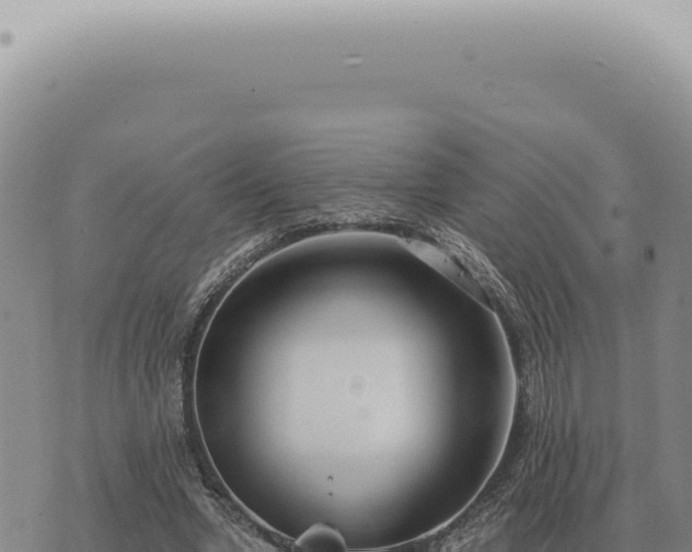 X0000073720442200608101908