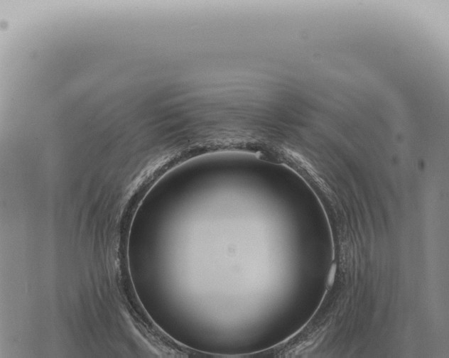 X0000073720443200608101908