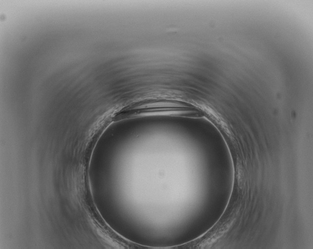 X0000073720445200608101908