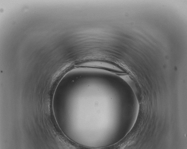 X0000073720446200608101908