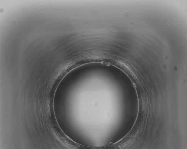 X0000073720447200608101908